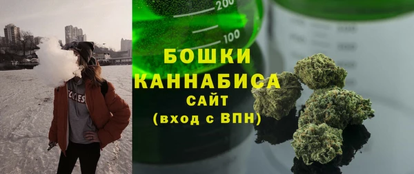 ешки Снежногорск