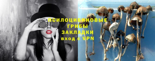 ешки Снежногорск