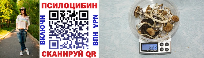 Галлюциногенные грибы Psilocybe  Купить  Закаменск 
